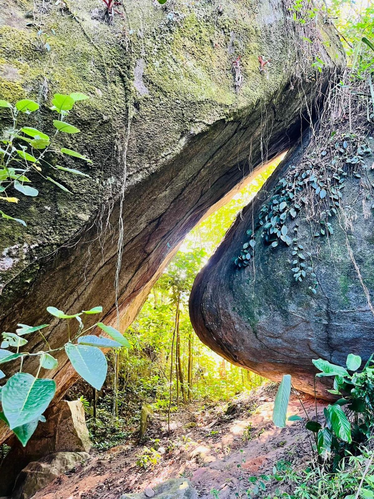 Pousada E Restaurante Alto Da Serra Bonito  Exterior foto
