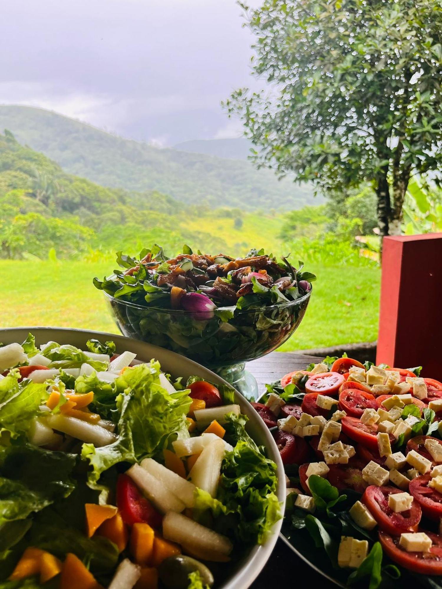 Pousada E Restaurante Alto Da Serra Bonito  Exterior foto